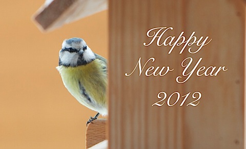 New Year 2012.jpg